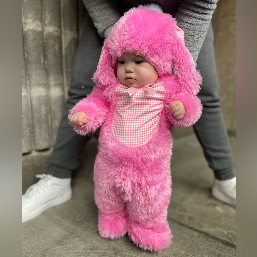 Baby bunny costume